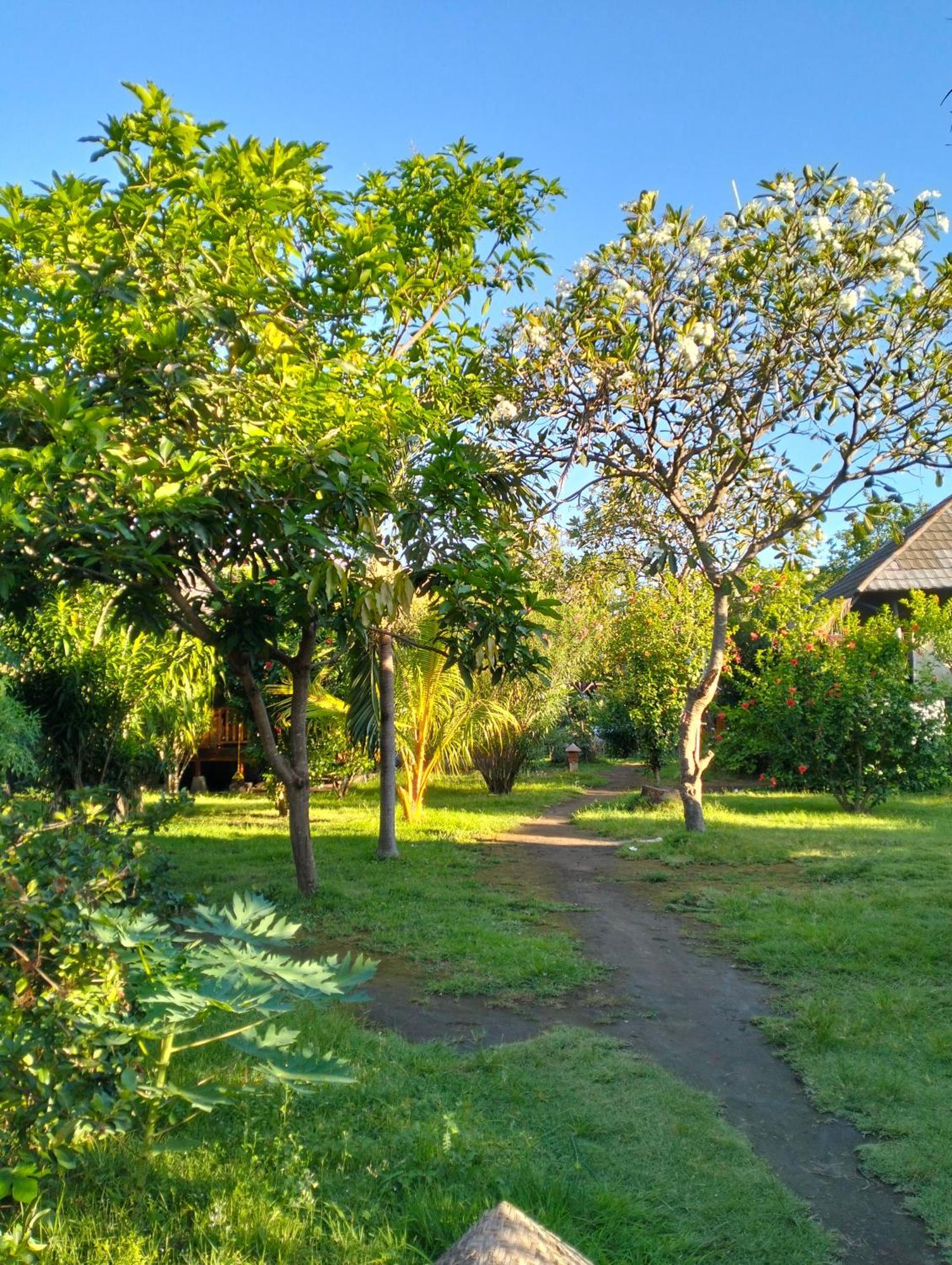 Tangga Bungalows Gili Air Bilik gambar